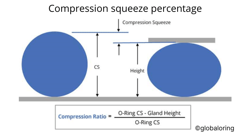 An Insight into Custom and Standard O-Rings - SantopSeal Corporation